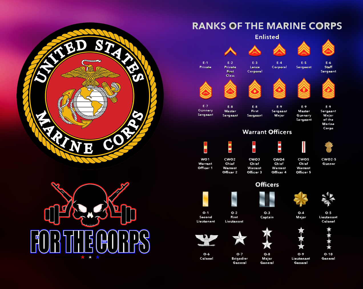 Ranks in the Marines Enlisted and Officers Ranks Described! For The
