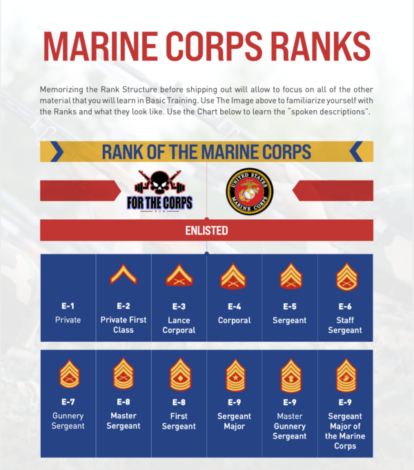 Marine Corps Knowledge | What Should You Know Before Boot Camp? - For ...